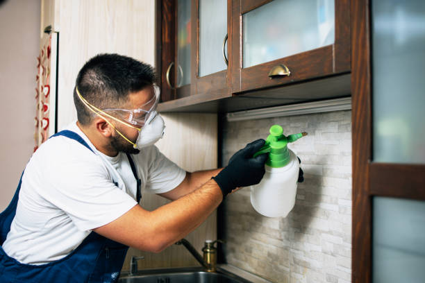  Oran, MO Pest Control Pros